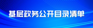 基層政務公開目錄清單